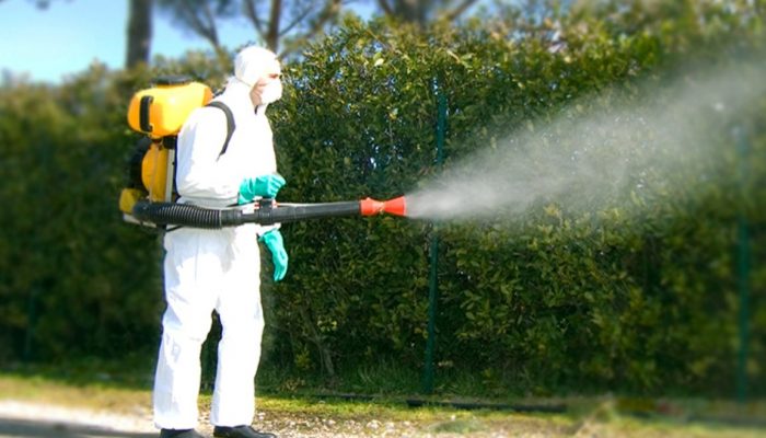 Disinfestazione Cimici da Letto Roma